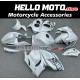 Suzuki Hayabusa GSX1300R 2008-2020 Fairing P/N 2P39 Suzuki Hayabusa GSX1300R 2008-2020 Fairing P/N 2P39