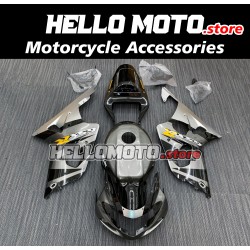 Suzuki GSX-R 1000 2001-2002 Fairing P/N 2AC3