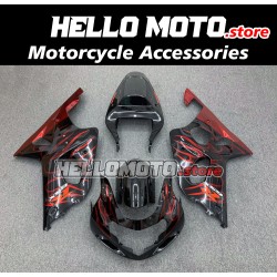 Suzuki GSX-R 1000 2001-2002 Fairing P/N 2AC6
