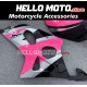 Suzuki GSX-R 1000 2001-2002 Fairing P/N 2AC11