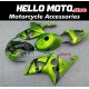 Suzuki GSX-R 1000 2001-2002 Fairing P/N 2AC8 Suzuki GSX-R 1000 2001-2002 Fairing P/N 2AC8