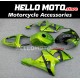 Suzuki GSX-R 1000 2001-2002 Fairing P/N 2AC8 Suzuki GSX-R 1000 2001-2002 Fairing P/N 2AC8