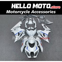 Suzuki GSX-R 1000 2017-2027 Fairing P/N 2N10