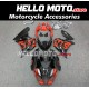 Suzuki GSX-R 1000 2017-2025 Fairing P/N 2N11 Suzuki GSX-R 1000 2017-2025 Fairing P/N 2N11