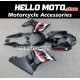 Suzuki GSX-R 1000 2017-2025 Fairing P/N 2N17 Suzuki GSX-R 1000 2017-2025 Fairing P/N 2N17