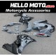 Suzuki GSX-R 1000 2017-2025 Fairing P/N 2N18 Suzuki GSX-R 1000 2017-2025 Fairing P/N 2N18