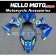 Suzuki GSX-R 1000 2017-2025 Fairing P/N 2N28