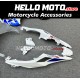 Suzuki GSX-R 1000 2017-2025 Fairing P/N 2N35 Suzuki GSX-R 1000 2017-2025 Fairing P/N 2N35