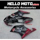 Suzuki GSX-R 1000 2003-2004 Fairing P/N 2AE7