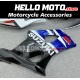 Suzuki GSX-R 1000 2003-2004 Fairing P/N 2AE3
