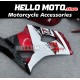 Suzuki GSX-R 1000 2003-2004 Fairing P/N 2AE9