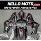 Suzuki GSX-R 1000 2007-2008 Fairing P/N 2L5 Suzuki GSX-R 1000 2007-2008 Fairing P/N 2L5