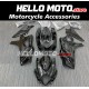 Suzuki GSX-R 1000 2007-2008 Fairing P/N 2L11 Suzuki GSX-R 1000 2007-2008 Fairing P/N 2L11