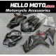 Suzuki GSX-R 1000 2007-2008 Fairing P/N 2L11 Suzuki GSX-R 1000 2007-2008 Fairing P/N 2L11