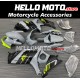 Suzuki GSX-R 1000 2007-2008 Fairing P/N 2L12 Suzuki GSX-R 1000 2007-2008 Fairing P/N 2L12