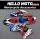 Suzuki GSX-R 1000 2007-2008 Fairing P/N 2L17 Suzuki GSX-R 1000 2007-2008 Fairing P/N 2L17