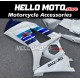 Suzuki GSX-R 1000 2007-2008 Fairing P/N 2L49 Suzuki GSX-R 1000 2007-2008 Fairing P/N 2L49