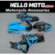 Suzuki GSX-R 1000 2007-2008 Fairing P/N 2L28