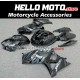 Suzuki GSX-R 1000 2007-2008 Fairing P/N 2L25