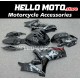 Suzuki GSX-R 1000 2007-2008 Fairing P/N 2L25