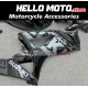 Suzuki GSX-R 1000 2007-2008 Fairing P/N 2L25