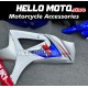 Suzuki GSX-R 1000 2007-2008 Fairing P/N 2L37