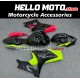 Suzuki GSX-R 1000 2007-2008 Fairing P/N 2L38