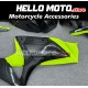 Suzuki GSX-R 1000 2007-2008 Fairing P/N 2L38