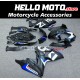 Suzuki GSX-R 1000 2009-2016 Fairing P/N 2M13