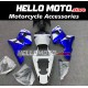 Suzuki GSX-R 600 2001-2003 / GSX-R 750 2000-2003 Fairing P/N 2B9 Suzuki GSX-R 600 2001-2003 / GSX-R 750 2000-2003 Fairing P/N 2B9