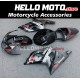 Suzuki GSX-R 600 2001-2003 / GSX-R 750 2000-2003 Fairing P/N 2B16 Suzuki GSX-R 600 2001-2003 / GSX-R 750 2000-2003 Fairing P/N 2B16