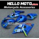 Suzuki GSX-R 600 2001-2003 / GSX-R 750 2000-2003 Fairing P/N 2B18 Suzuki GSX-R 600 2001-2003 / GSX-R 750 2000-2003 Fairing P/N 2B18