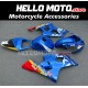 Suzuki GSX-R 600/750 2004-2005 Fairing P/N 2C21