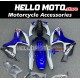 Suzuki GSX-R 600/750 2006-2007 Fairing P/N 2D57 Suzuki GSX-R 600/750 2006-2007 Fairing P/N 2D57