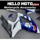 Suzuki GSX-R 600/750 2006-2007 Fairing P/N 2D92 Suzuki GSX-R 600/750 2006-2007 Fairing P/N 2D92