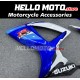 Suzuki GSX-R 600/750 2006-2007 Fairing P/N 2D107 Suzuki GSX-R 600/750 2006-2007 Fairing P/N 2D107