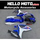 Suzuki GSX-R 600/750 2006-2007 Fairing P/N 2D117