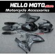 Suzuki GSX-R 600/750 2006-2007 Fairing P/N 2D61