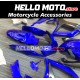 Suzuki GSX-R 600/750 2006-2007 Fairing P/N 2D66 Suzuki GSX-R 600/750 2006-2007 Fairing P/N 2D66