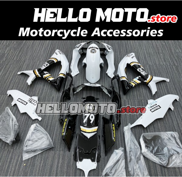 Suzuki GSX-R 600/750 2008-2010 Fairing P/N 2E1