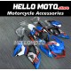 Suzuki GSX-R 600/750 2008-2010 Fairing P/N 2E2 Suzuki GSX-R 600/750 2008-2010 Fairing P/N 2E2