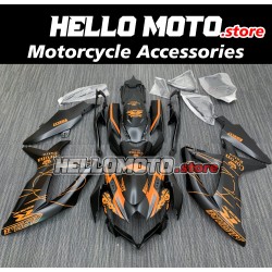 Suzuki GSX-R 600/750 2008-2010 Fairing P/N 2E13