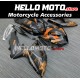 Suzuki GSX-R 600/750 2008-2010 Fairing P/N 2E13 Suzuki GSX-R 600/750 2008-2010 Fairing P/N 2E13