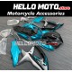 Suzuki GSX-R 600/750 2008-2010 Fairing P/N 2E14 Suzuki GSX-R 600/750 2008-2010 Fairing P/N 2E14