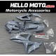 Suzuki GSX-R 600/750 2008-2010 Fairing P/N 2E19