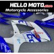 Suzuki GSX-R 600/750 2008-2010 Fairing P/N 2E32 Suzuki GSX-R 600/750 2008-2010 Fairing P/N 2E32
