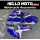 Suzuki GSX-R 600/750 2008-2010 Fairing P/N 2E35 Suzuki GSX-R 600/750 2008-2010 Fairing P/N 2E35