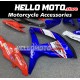 Suzuki GSX-R 600/750 2008-2010 Fairing P/N 2E41 Suzuki GSX-R 600/750 2008-2010 Fairing P/N 2E41
