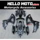 Suzuki GSX-R 600/750 2008-2010 Fairing P/N 2E16 Suzuki GSX-R 600/750 2008-2010 Fairing P/N 2E16