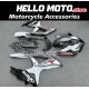 Suzuki GSX-R 600/750 2008-2010 Fairing P/N 2E66 Suzuki GSX-R 600/750 2008-2010 Fairing P/N 2E66